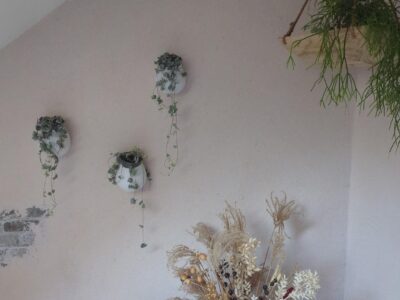 belka-wallpaper-s306-400x300