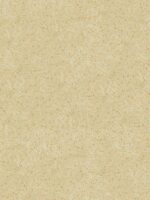 Cremefarbene Belka B1 Beige Baumwollputz-Tapete, umweltfreundliche Flüssigtapete für moderne Wandgestaltung