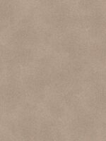Belka B12 Tapete in Taupe – Moderne Wandgestaltung mit hochwertiger, natürlichen Wandtapete, die sowohl Wärme- als auch Schalldämmung bietet. Ideal für stilvolle und funktionale Innenräume.