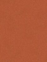 "Belka B18 Tapete in Orange mit Muster – Lebendige, gemusterte Wandtapete für moderne und kreative Wandgestaltungen, bietet gleichzeitig Wärme- und Schalldämmung.