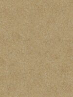 Cremefarbene Belka B2 Beige Baumwollputz-Tapete, umweltfreundliche Flüssigtapete für moderne Wandgestaltung