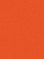 Belka B21 Tapete in Orange – Moderne Wandtapete in einem warmen Orangeton, ideal für lebendige Raumgestaltungen mit zusätzlicher Wärme- und Schalldämmung.