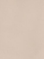 belka-s506-tapete-taupe-moderne-wandgestaltung