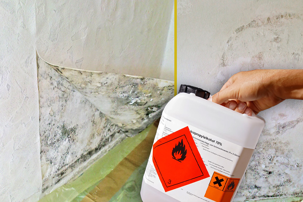 Ethanol gegen Schimmel auf Tapeten – Hausmittel zur effektiven Schimmelbekämpfung
