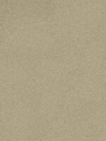 Beige Belka Y2503 Tapete Leinenbeige, aufgetragen auf eine Wohnzimmerwand in moderner Optik. Die natürliche, strukturierte Oberfläche harmoniert mit Holzmöbeln und weißer Deko und schafft eine schlichte, elegante Atmosphäre. Die Tapete zeigt im Licht einen warmen, leicht glänzenden Ton.