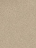 Belka Y2503 Tapete in Warm Neutral für moderne Wandgestaltung – umweltfreundlich, atmungsaktiv, EMF-reduzierend und schalldämmend für gesunde Wohnräume.