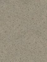 Belka Y2504 Tapete in Earthy Sage für moderne Wandgestaltung – atmungsaktiv, schalldämmend, EMF-reduzierend & umweltfreundlich.